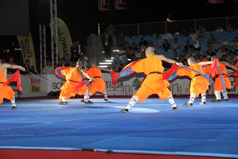 Martial Arts Festival